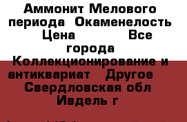 Аммонит Мелового периода. Окаменелость. › Цена ­ 2 800 - Все города Коллекционирование и антиквариат » Другое   . Свердловская обл.,Ивдель г.